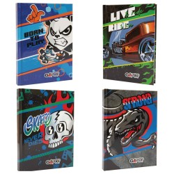 GIOCHI PREZIOSI DIARIO:PANDA BORN TO PLAY/MONSTER TRUCK /DINOSAURO STRONG /SKATE